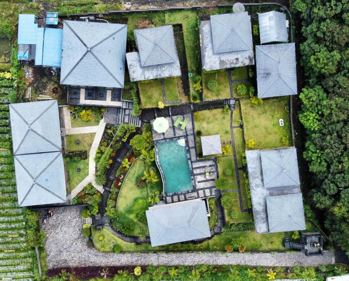 Batur Green Hill And Hot Spring Kintamani Exteriör bild